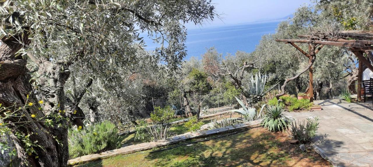Villa Imelda Afissos Exterior foto