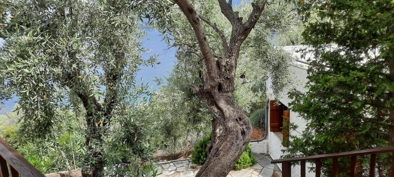 Villa Imelda Afissos Exterior foto